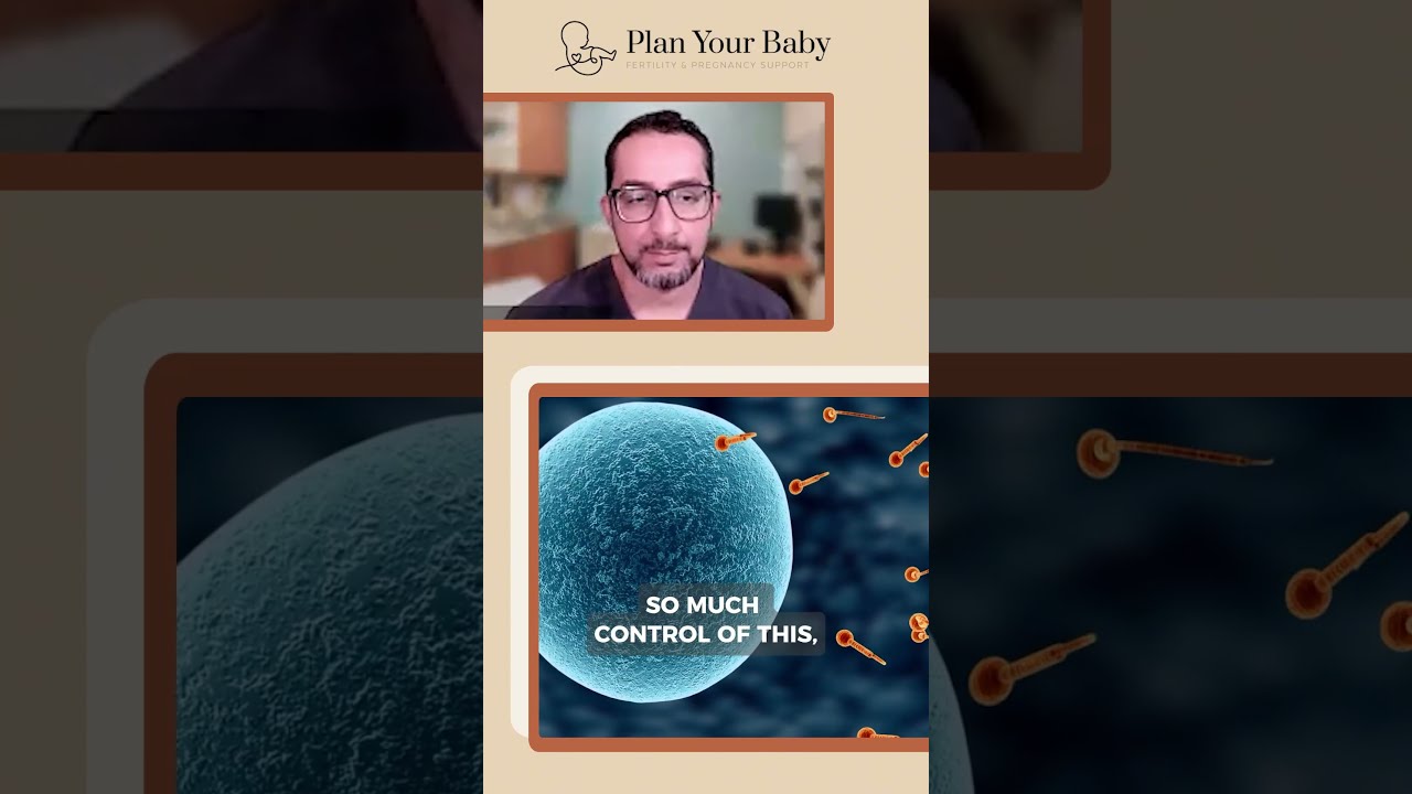 🎥 Q&A with Dr. Sami: Can Assistance with Conception help slow down follicle growth?