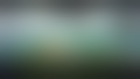 RA2, NOdeL un.org oli wildlifestudios.com vivendi.com gameloft.com Asphalt U0 n De12 Sky W0 8181582