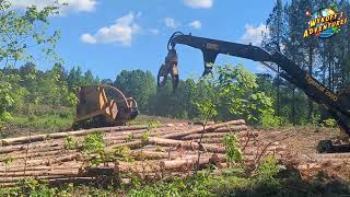 Heavy Duty Lumber Machines Cut Down Tall Trees in Seconds!