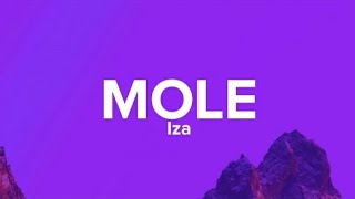 Iza - MOLE (Lyrics/Letra) 🎶