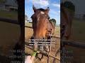 #Donate to the PayPal link in the bio for food any donation counts please donate to save life #