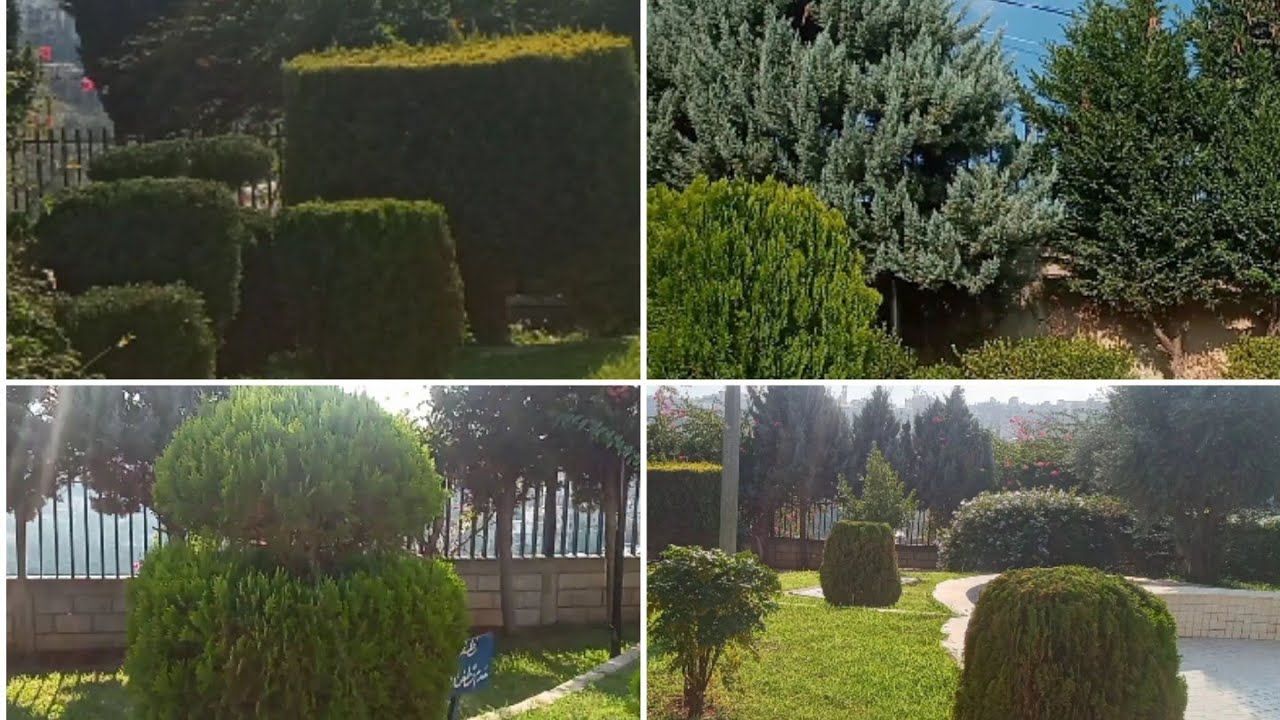 In the embrace of Nature بين أحضان الطبيعة