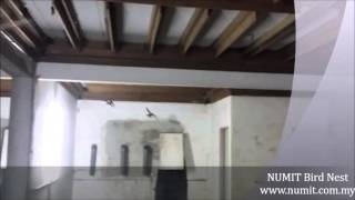 NUMIT Swiftlet Farming : Episode 2