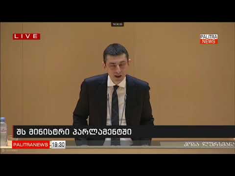 კლუბური ინფრასტრუქტურა სინთეტიკური ნარკოტიკის გავრცელების კომფორტული პლათფორმაა - შს მინისტრი