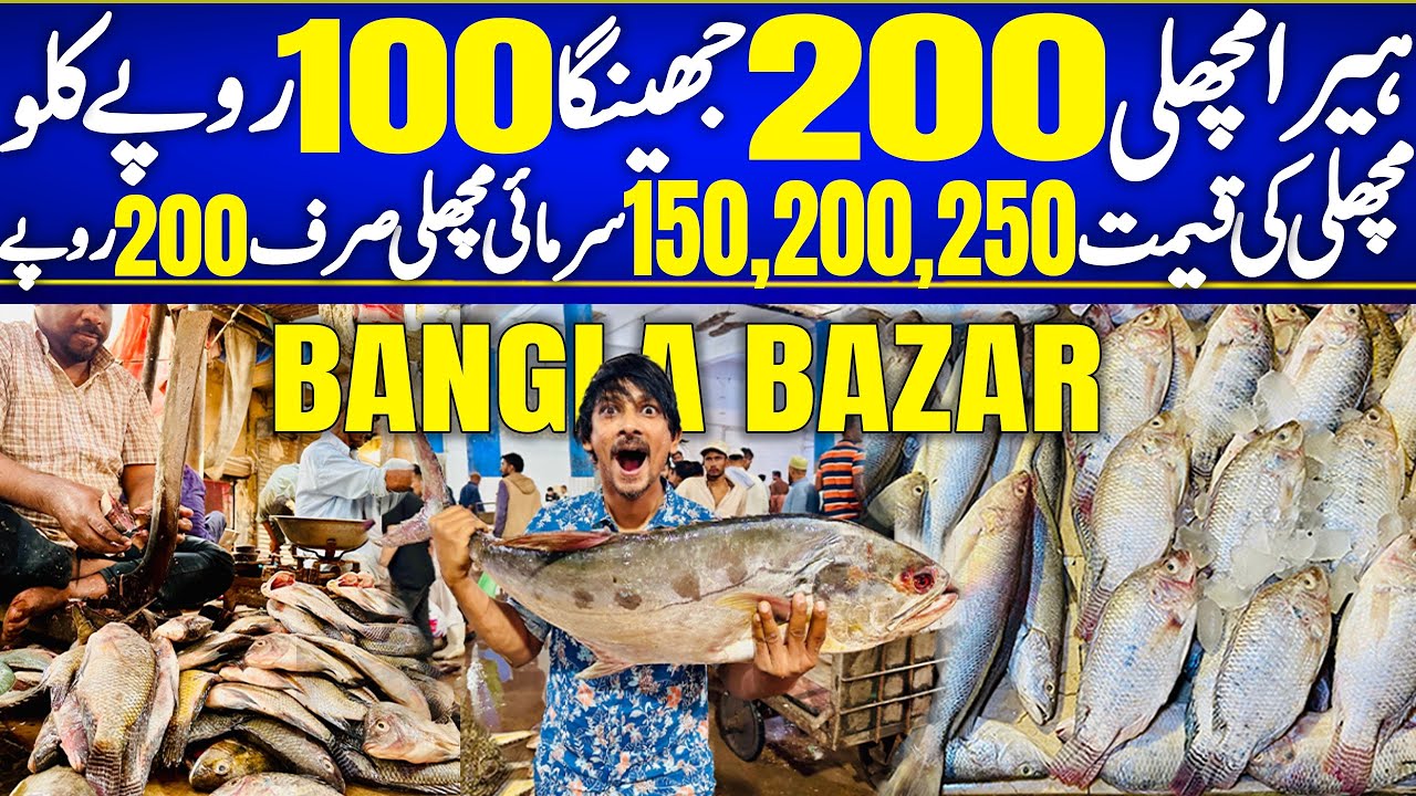 Cheapest Fresh Biggest Wholesale Fish Market | PRAWN 100/-KG HEERA MASHLI 200/-KG | 150,200,250 Kg