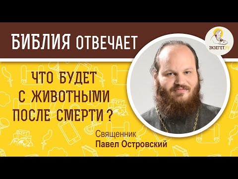 Что будет с животными после смерти?  Библия отвечает. Священник Павел Островский