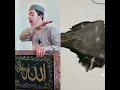 #اكسبلور #القارئ #مصحف #الله #اشتراك #صلوا_على_النبي #دويتو