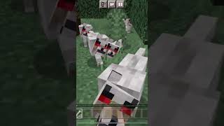 Famous ￼ This is why you shouldn’t tame a wolf in Minecraft Profile