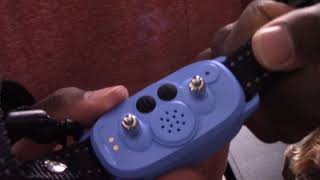 Bark Collar, With 5 Adjustable Sensitivity And Intensity Beep Vibration Shock, Anti Barking Collar