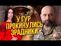 💥КРИВОНОС: Буданову отруїв хтось зі СВОЇХ! СБУ пропустила ЗРАДНИКА. Залужного атакував агент Кремля