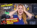 This is a DISASTER | Ball Python