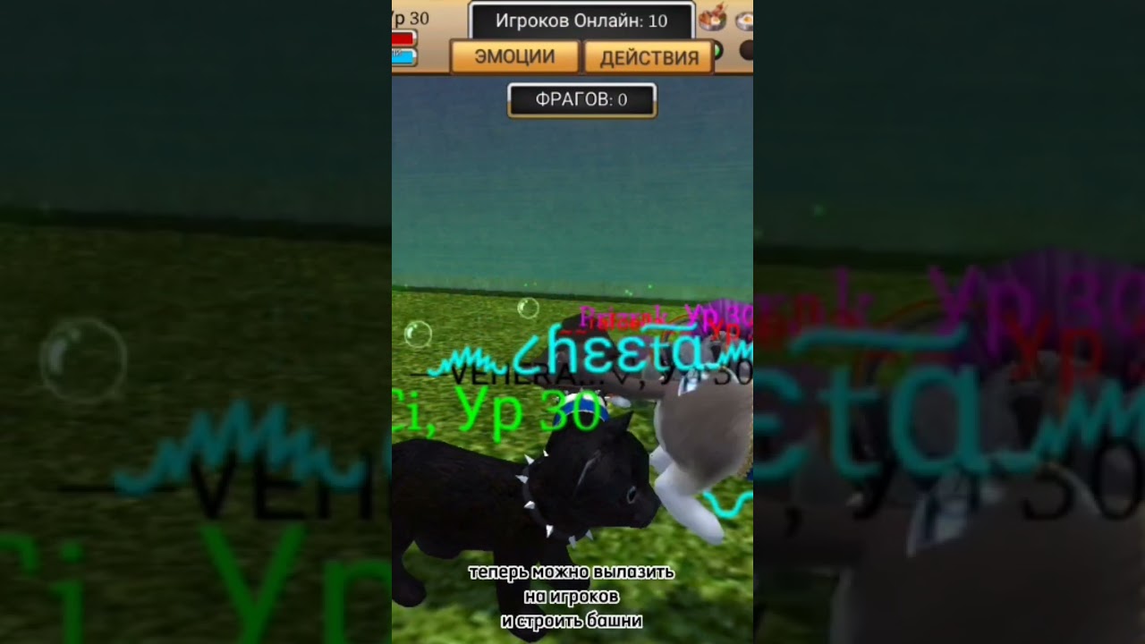 Обновление 1.0.2.6. в Cat Simulator-Animal life