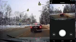 Prology iReg black тестирование