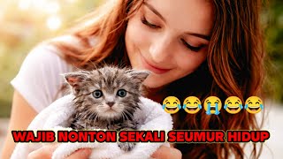 평생을 함께할 조력자를 충실히 따라가는 새끼 고양이의 이야기. screenshot 4