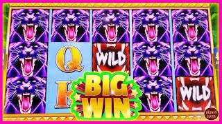 WAIT... THAT LINE HIT PAID WHAT? HUGE WIN ON SAVAGE EYES SLOT MACHINE