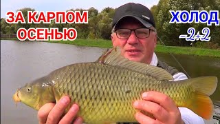 Рыбалка Отдай Удочку/Ловлю Карпа Осенью