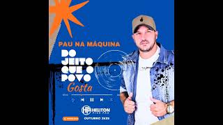 03 Heliton Pica Pau   Novinho posturado