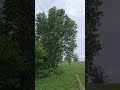 Tiszakécske gátőrház #2026 #Tisza #Tiszakécske #gát #asmr #asmrsounds #asmrvideo #nature #természet
