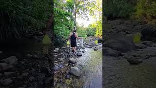 Download Lagu tibak e bener tenan omonge Agos 🤔 #shorts #cariikan #videoshorts MP3