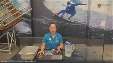 Keep the kids entertained this summer with Fleet Science camps