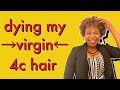 Dying my VIRIGIN 4C Hair 😍 Brad Mondo will LOVE this