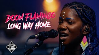 Doom Flamingo - Long Way Home TELEFUNKEN Live From The Lab