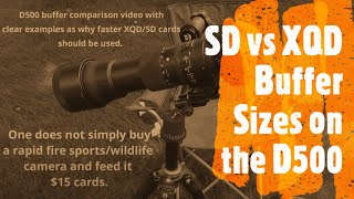 D500 XQD vs SD - Which Continuous Shooting?