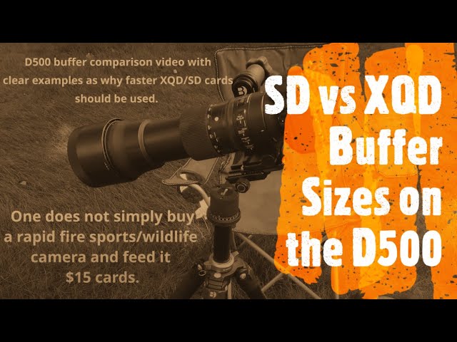 D500 XQD vs SD - Which Continuous Shooting? - YouTube