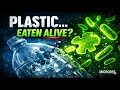 Plastic-Eating Microbes Explained: How Bacteria &amp; Enzymes Are Breaking Down Our Plastic Waste