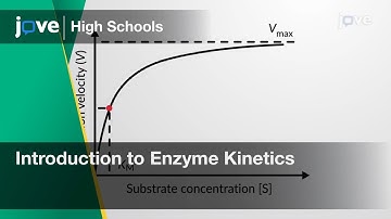 Introduction to Enzyme Kinetics | Cell Bio | Video Textbooks - Preview