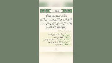 السراج في بيان غريب القران سورة ص تلاوة الشيخ سعد الغامدي  #المصحف #اكسبلور