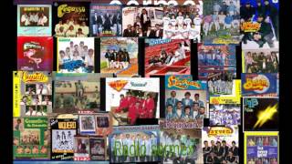 Grupos Inmortales 1988 cassette de colección de la Onda Grupera screenshot 5