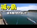 【第21話】2021年06月　城ヶ島岸壁　サビキ釣りと泳がせ釣りとヘチ釣り　神奈川県三浦市　【2021-06-12】