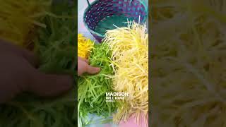 Easter Grass