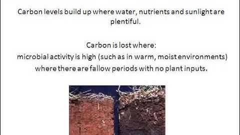 Agronomy 2 ALM210 Lecture 4 part 2