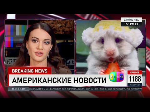 CSBSVNNQ Американские новости — выпуск #1188 от 25.01.2024