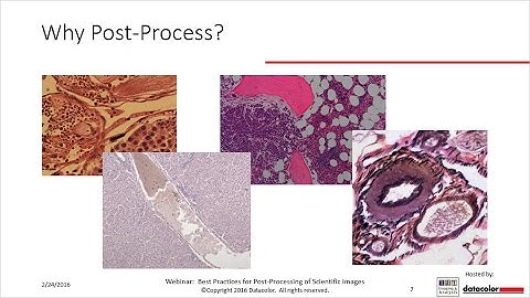 Best Practices for Post Processing of Scientific Images - Photoshop and ImageJ are n