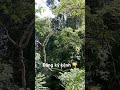Nhẹ nhàng yên bình #shortvideo #nhacdongque #camping