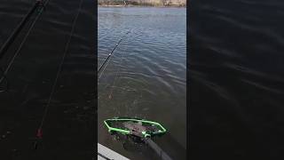 Nice Catfish into the Whisker Seeker Tackle Extender Landing Net! #3riversfishingadventures