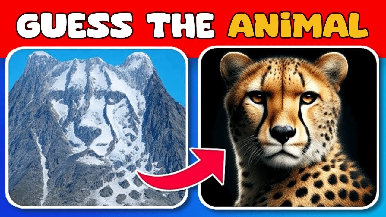 Guess the Hidden Animal by ILLUSIONS Animal Quiz - YouTube