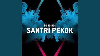 Dj Santri Pekok (Remix)
