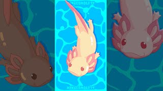 Axolotl Trio // Animated Short