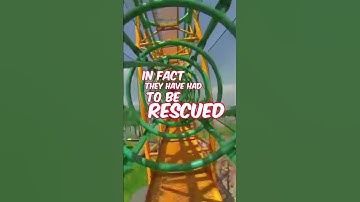 Virtual Reality Roller Coaster