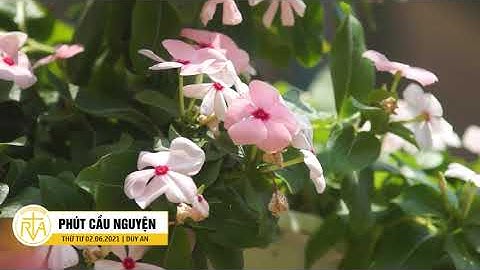 Phút Cầu Nguyện, Thứ Tư 02/06/2021: Đôi Tay Của Nghệ Nhân