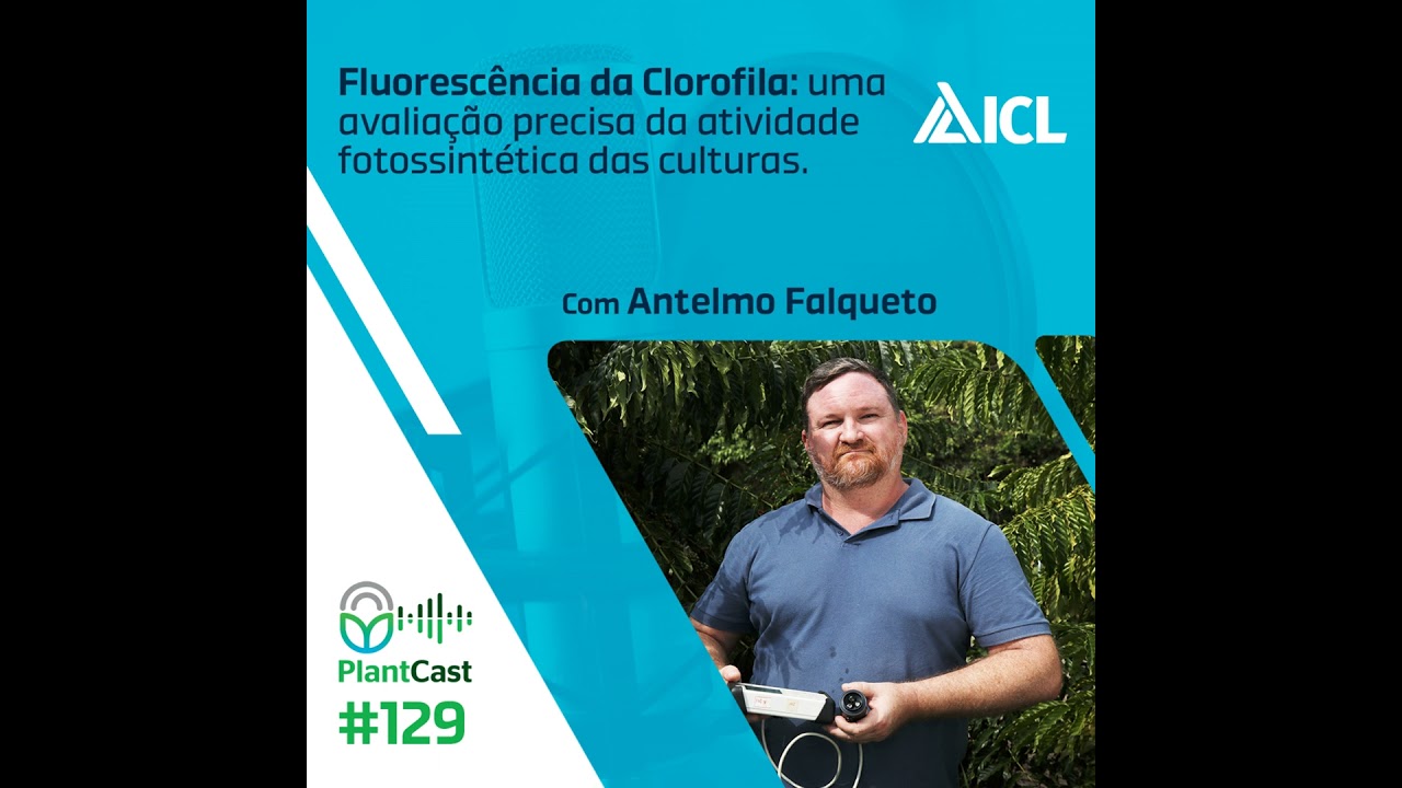 Plantcast #129 Fluorescência da Clorofila: uma avaliação precisa da atividade fotossintética das ...