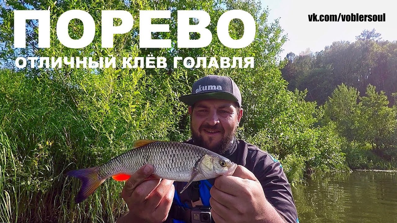 Ловля голавля на волге Ловля голавля на волге