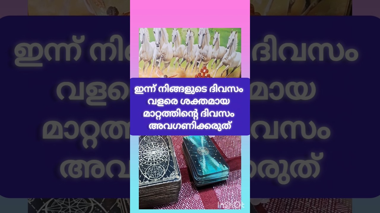 ഇന്ന് നിങ്ങളുടെ ദിവസം #tarot #viral #family #shorts #motivationalspeech