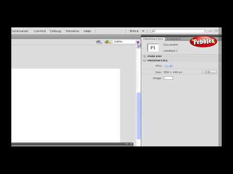Flash Interface || Flash CS4  Presentation || Tutorial For Beginners || On Screen Training