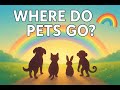 “Where Do Animals Go When They Die? 🌈 Comforting Beliefs from Around the World”