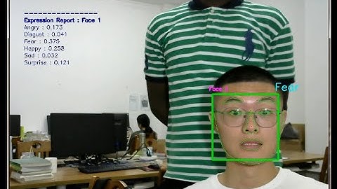 Real-time Facial Emotion Recognition with CNN (2020) from Normal Camera and Videos For Subject 8: